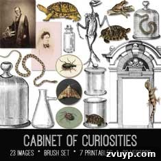 featured 100741