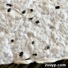 featured 102454
