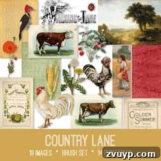 featured 105793