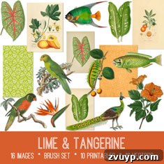 featured 107525