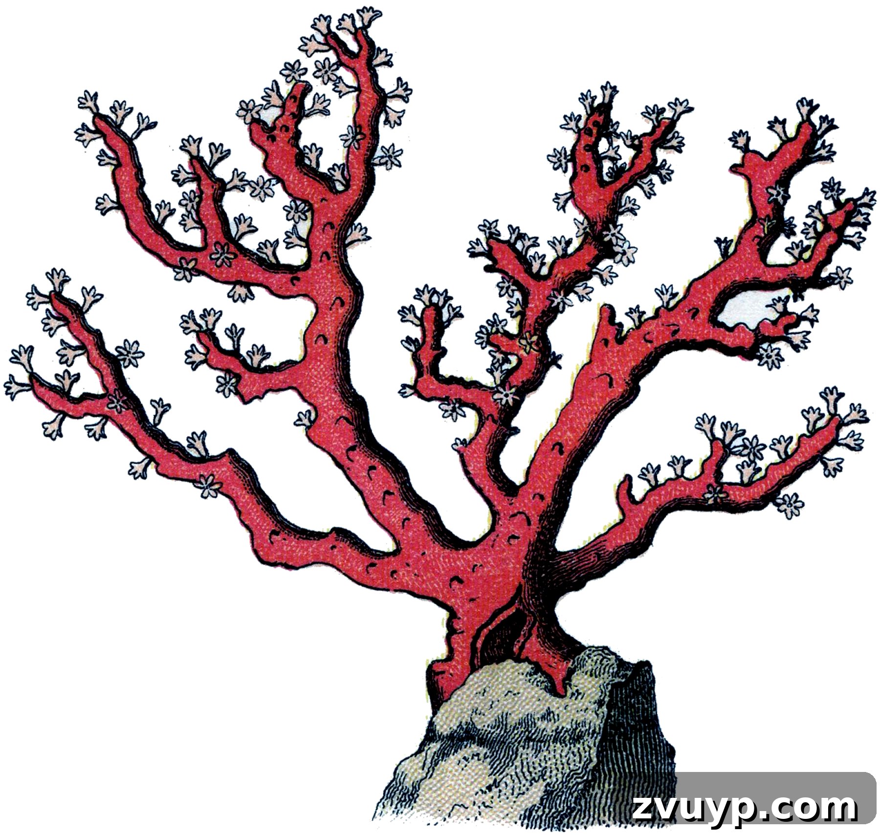 featured 107592