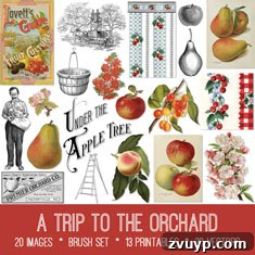 featured 107803