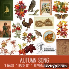 featured 109496