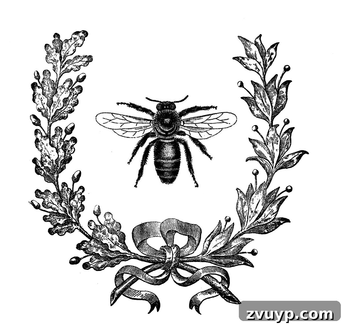 featured 112637