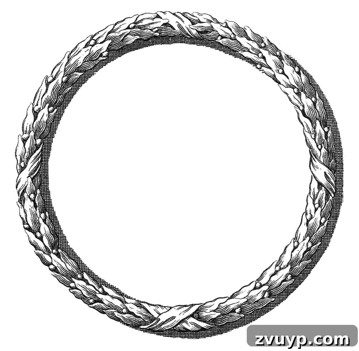 featured 116887