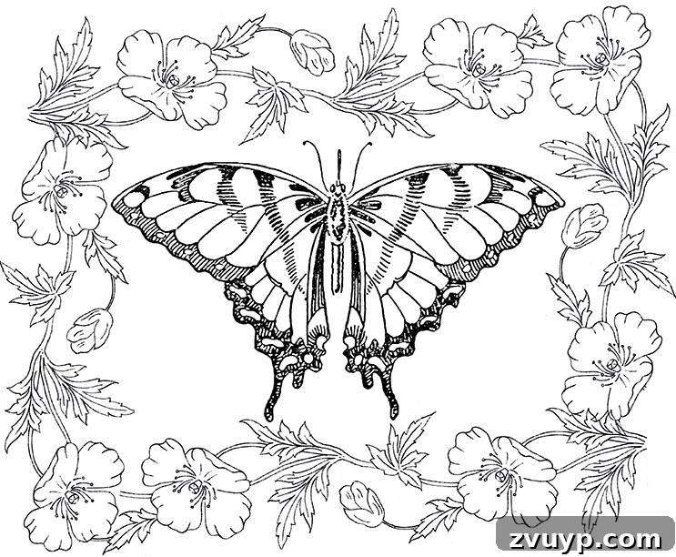 featured 124570