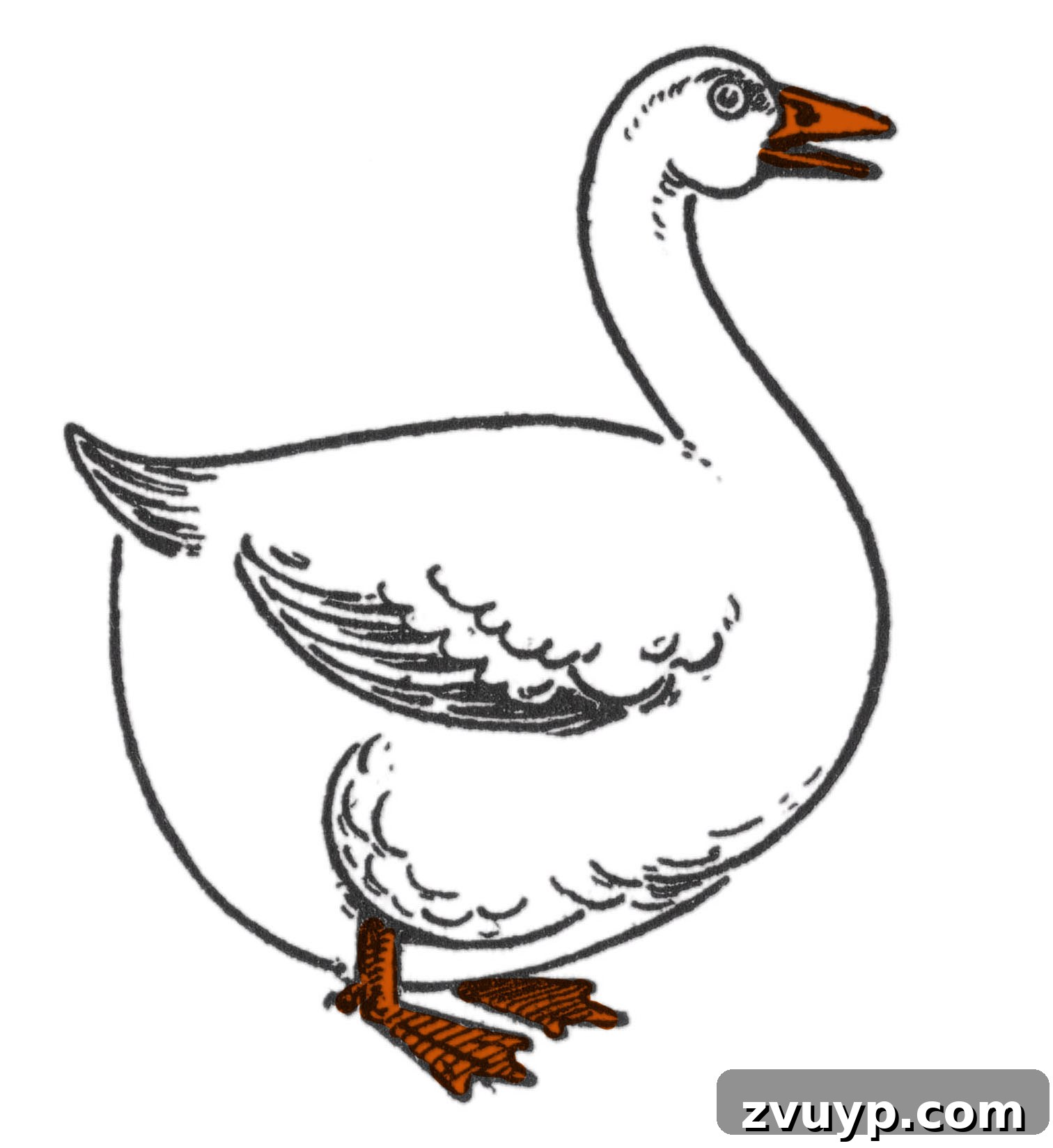 featured 124746