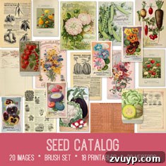 featured 125023