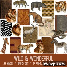 featured 126274