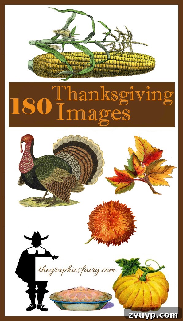 featured 126492