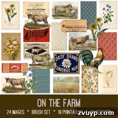 featured 134574