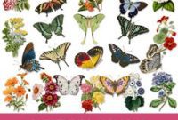 Graphics Fairy Premium Butterflies and Blooms Kit