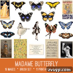 featured 139573