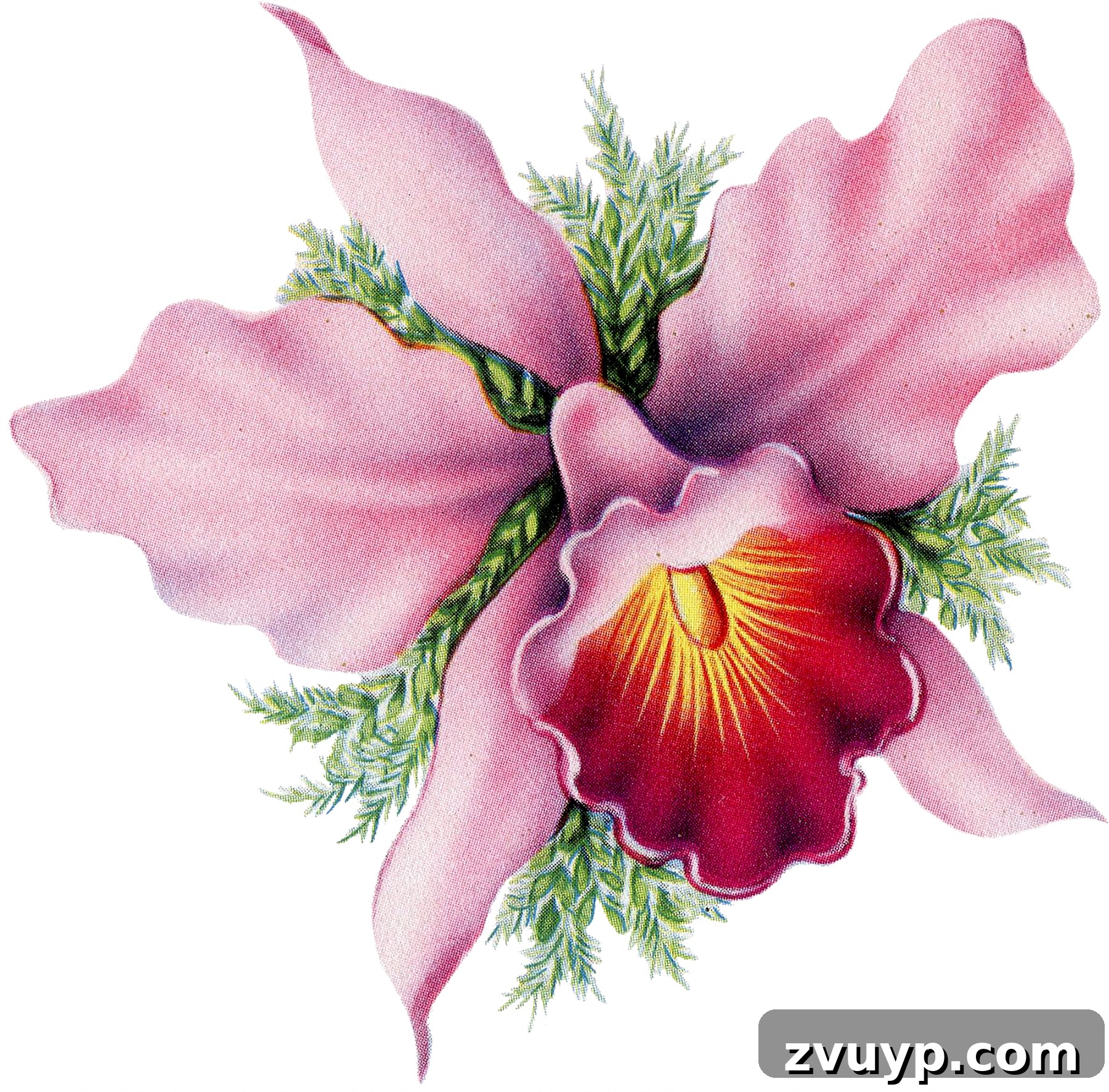 featured 139801