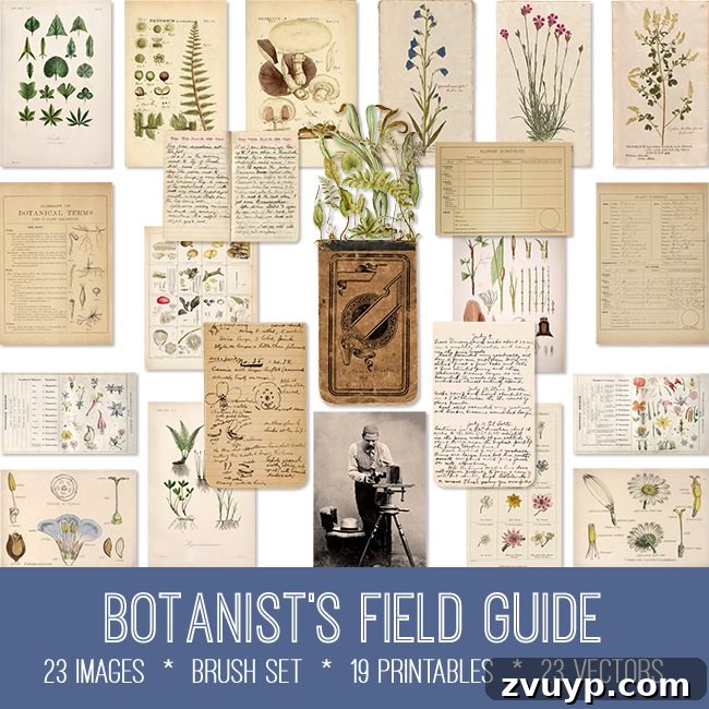 featured 141930