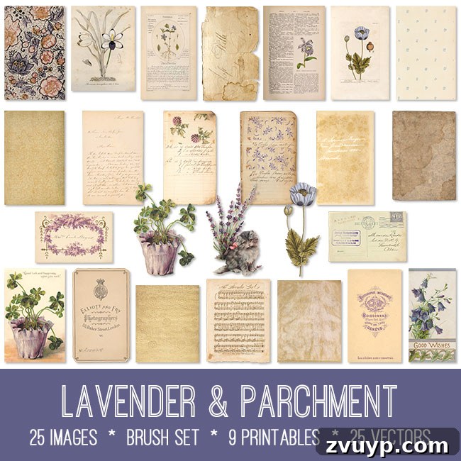 featured 144585