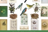 A Nest Tale Brought to Life by Graphics Fairy Premium