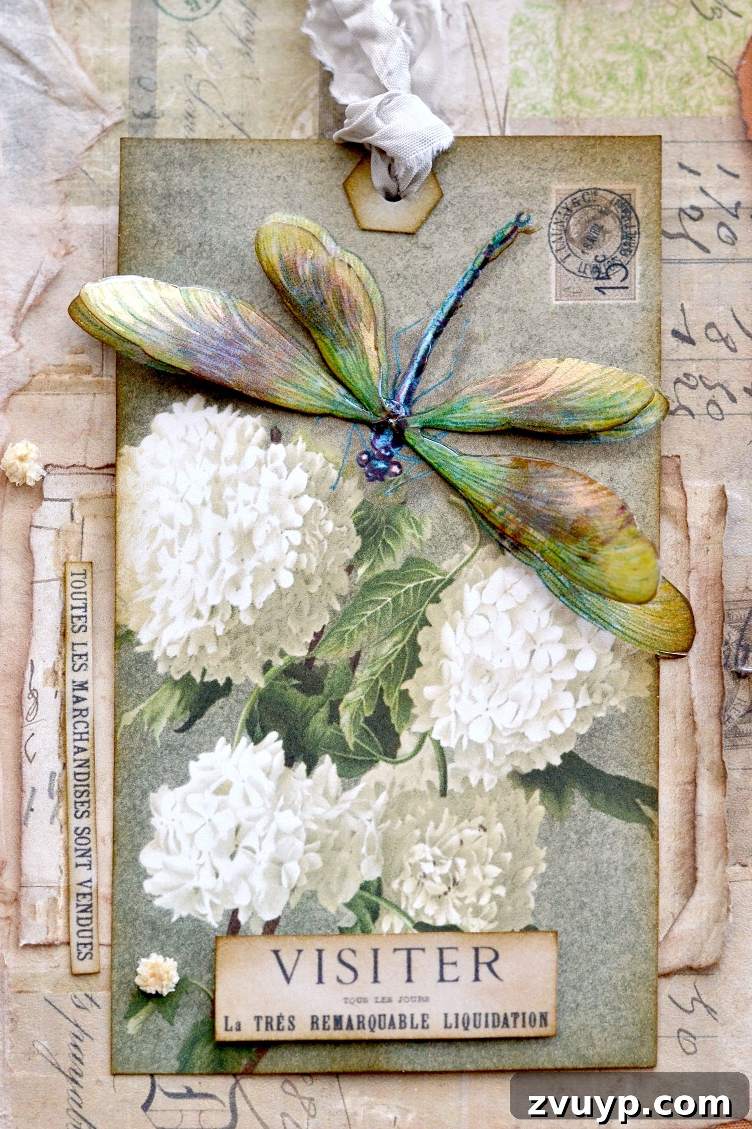 featured 146036