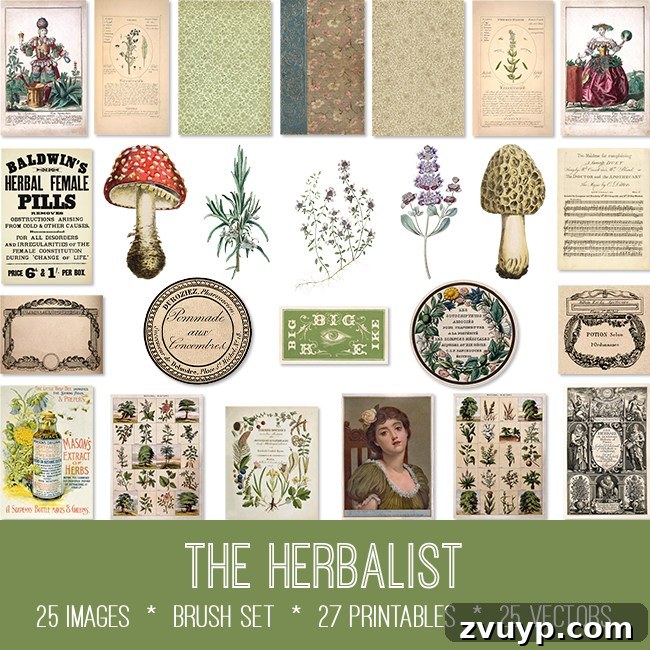 featured 146191