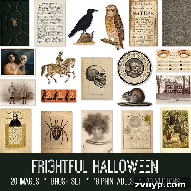 featured 146284