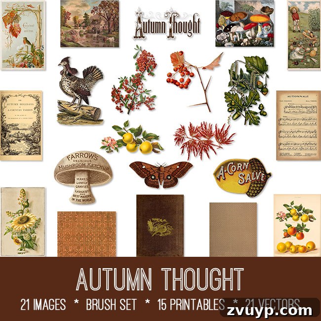 featured 146569