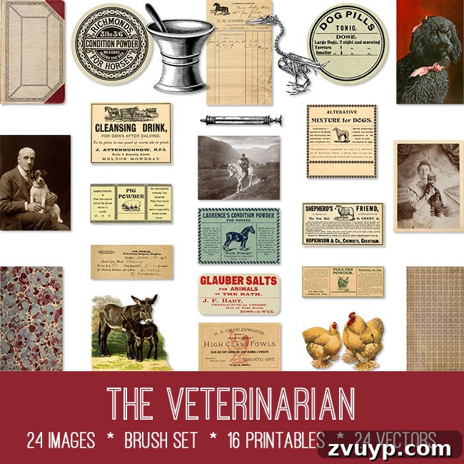 featured 146657