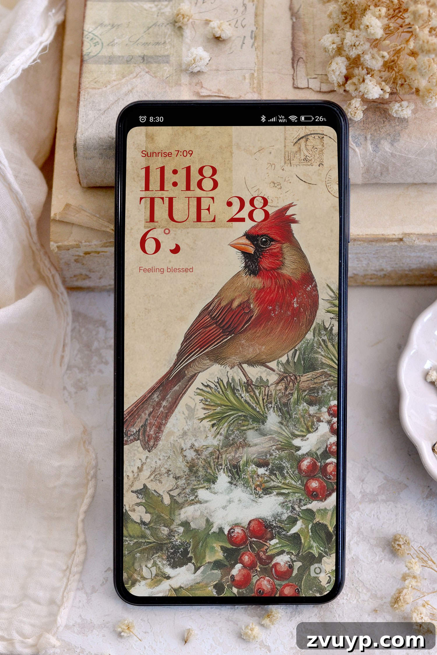 featured 147115