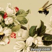 featured 15059