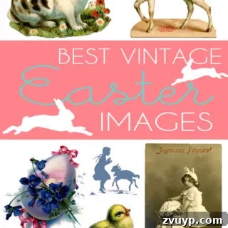 featured 2311