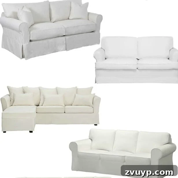 featured 24702
