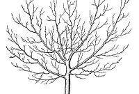 4 Haunting Winter Tree Images