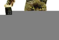 8 Charming Anthropomorphic Felines