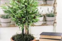 Craft Your Own Olive Topiary