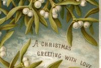 5 Mistletoe Photos
