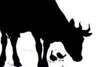 15 Adorable Cow Clipart Graphics