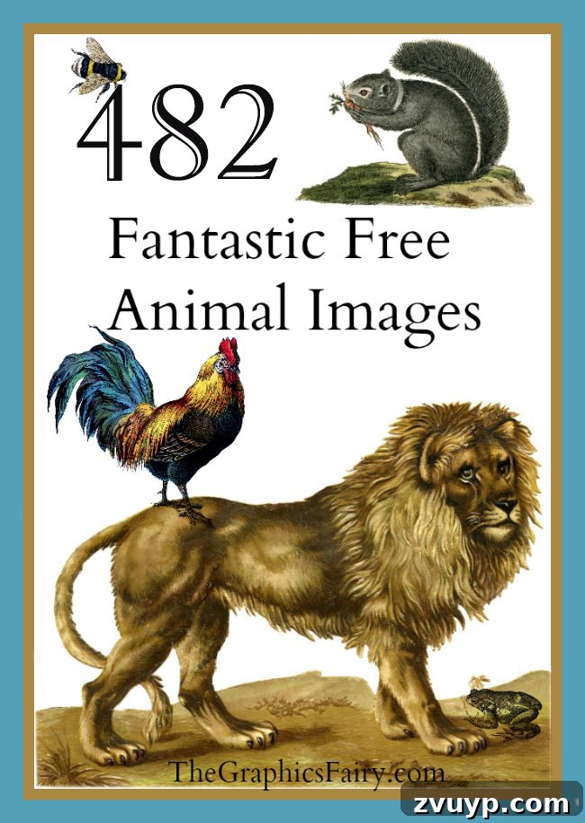 featured 42551