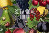 TGF Premium Botanical Fruit Collection