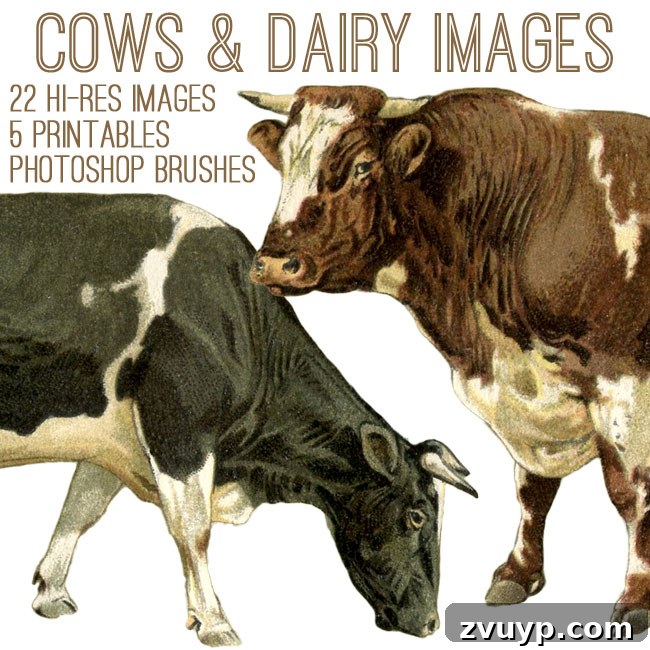 featured 46253