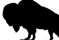 Five Incredible Buffalo Photos