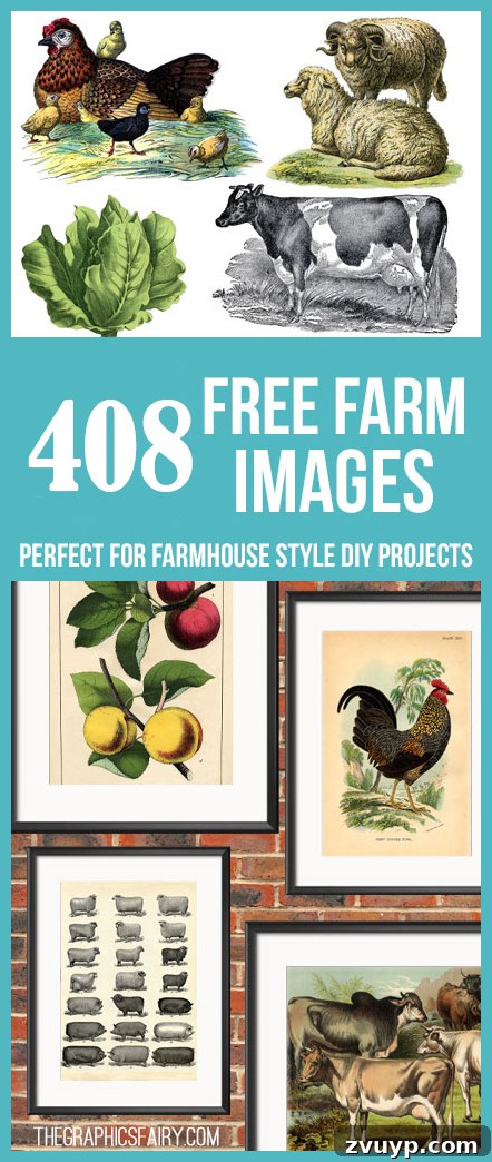 featured 50902