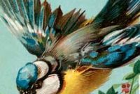 Fifteen Breathtaking Bluebird Pictures