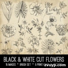 featured 61934