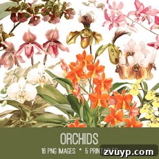 featured 62376