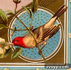 featured 62819