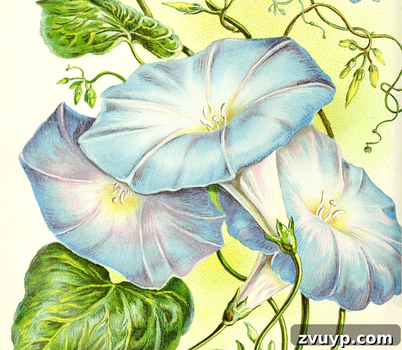 featured 70428