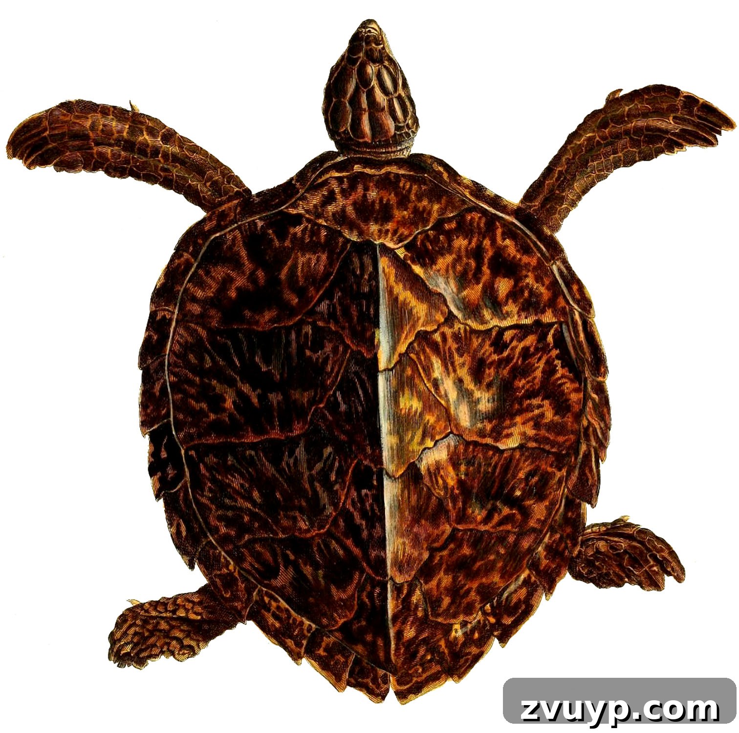featured 73008