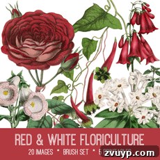 featured 79432