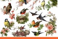 Graphics Fairy Premium Exclusive Catharina Klein Bird Art Kit