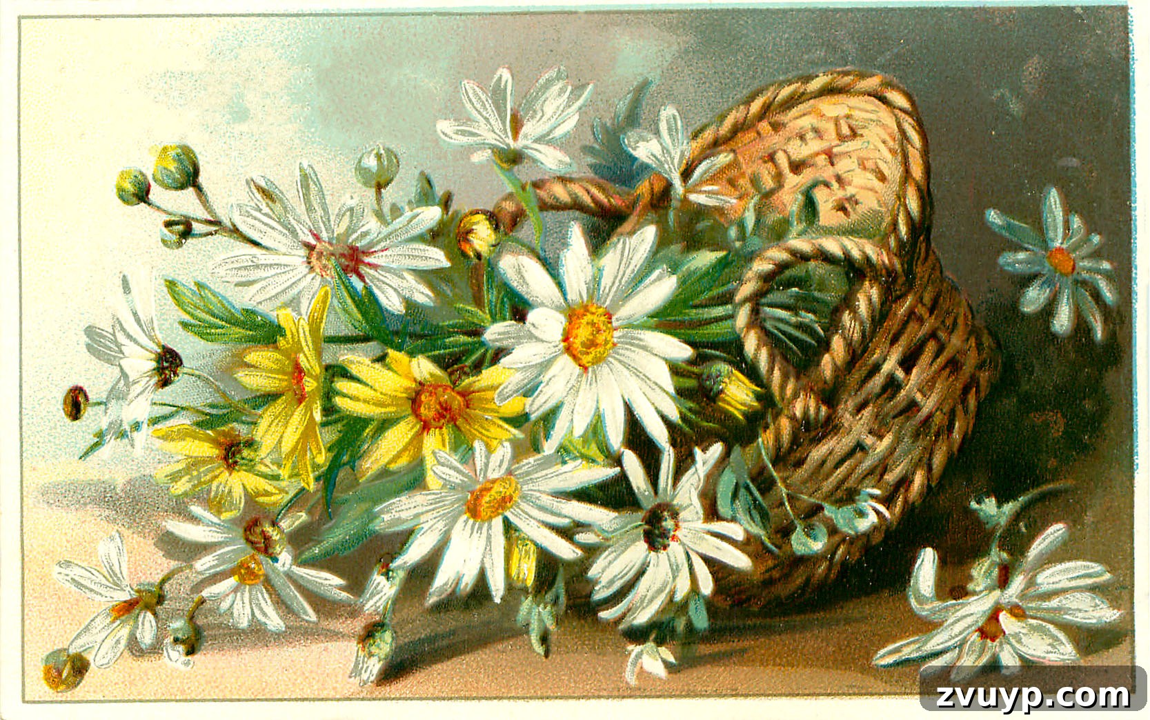 featured 95935