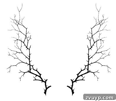 featured 99541